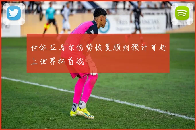 世体亚马尔伤势恢复顺利预计可赶上世界杯首战