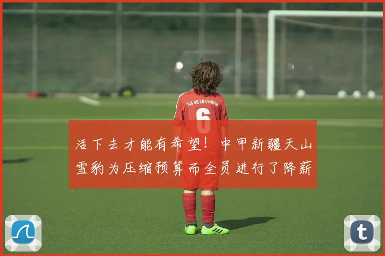 活下去才能有希望！中甲新疆天山雪豹为压缩预算而全员进行了降薪