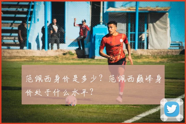 范佩西身价是多少？范佩西巅峰身价处于什么水平？