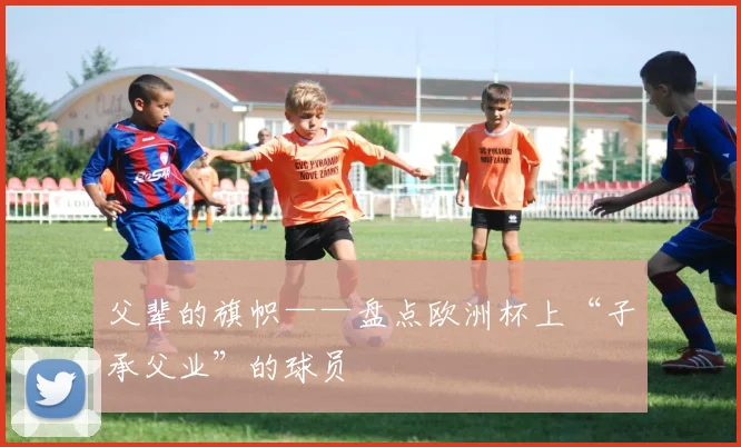 父辈的旗帜——盘点欧洲杯上“子承父业”的球员